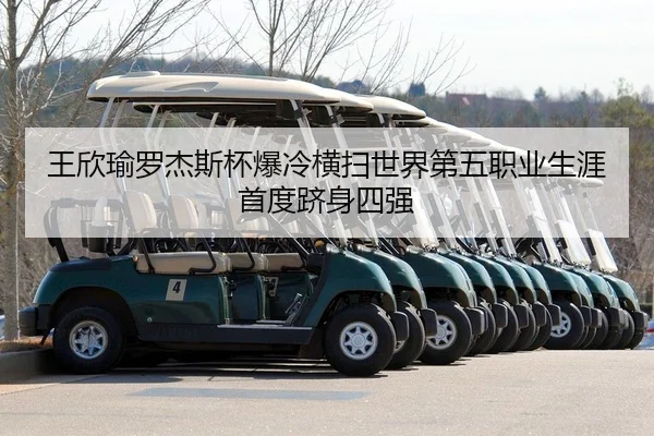 wang-xin-yu-luo-jie-si-bei-bao-leng-heng-sao-shi-jie-di-wu-zhi-ye-sheng-ya-shou-du-ji-shen-si-qiang-2-711.jpg